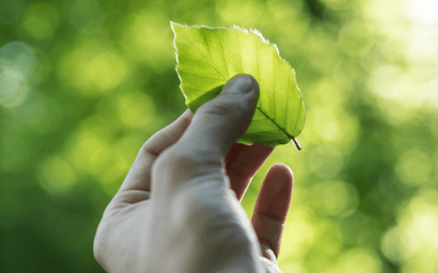 « Projet de loi climat », quel rôle va jouer le CSE en matière environnemental ? (Partie 1 sur 2)