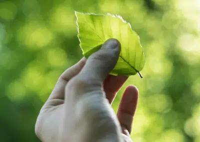 « Projet de loi climat », quel rôle va jouer le CSE en matière environnemental ? (Partie 1 sur 2)