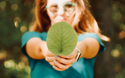 « Projet de loi climat », quel rôle va jouer le CSE en matière environnemental ? (Partie 2 sur 2)
