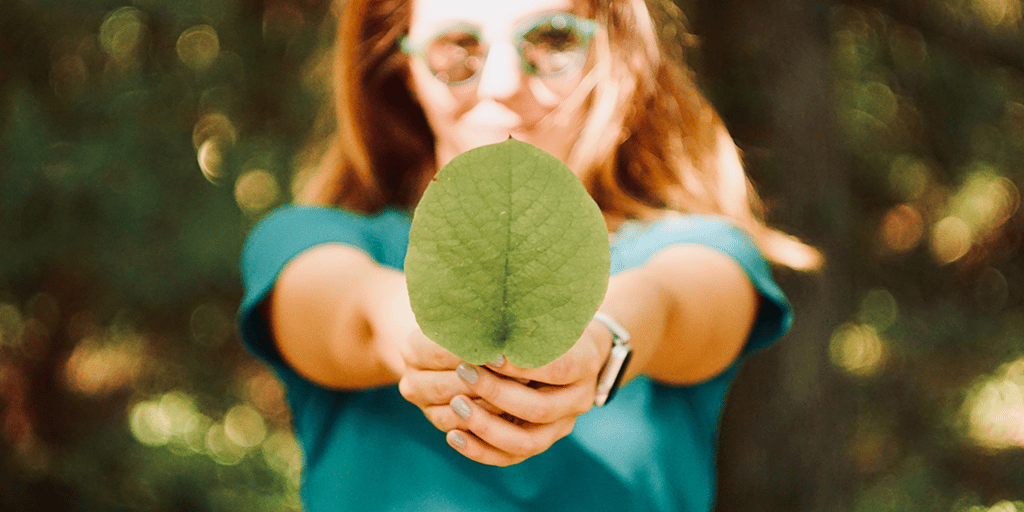 Projet de loi climat CSE 2/2