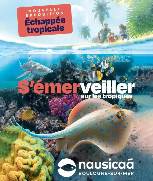 À Nausicaá, découvrez l’Océan qui bat en vous ! À Nausicaá, découvrez l’Océan qui bat en vous !
