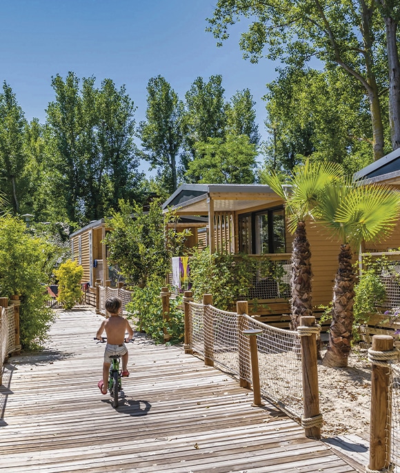 Sandaya