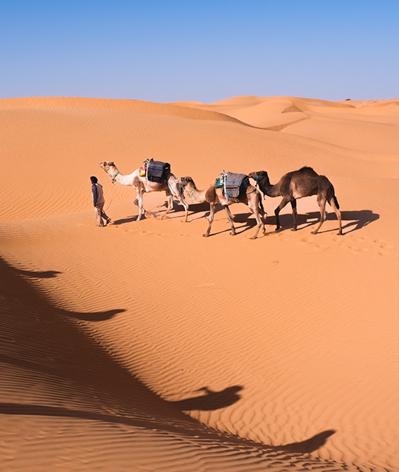 L’ami du vent, voyages dans les déserts et les grands espaces