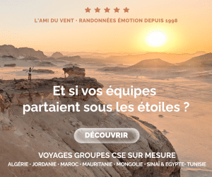 l'ami du vent