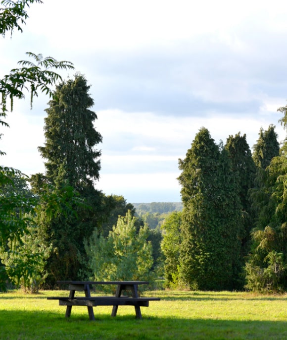 Arboretum de Versailles-Chèvreloup  : Une escapade nature aux portes de Versailles