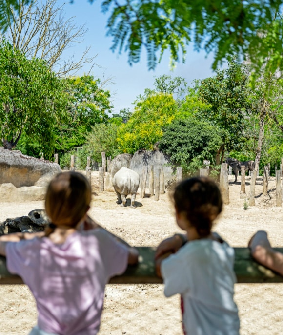 Parc zoologique de Paris : Offrez un tour du monde animal à vos bénéficiaires !